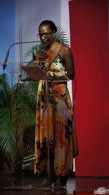 cloture-femi2013-2.jpg