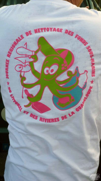 journee-nettoyage11.jpg