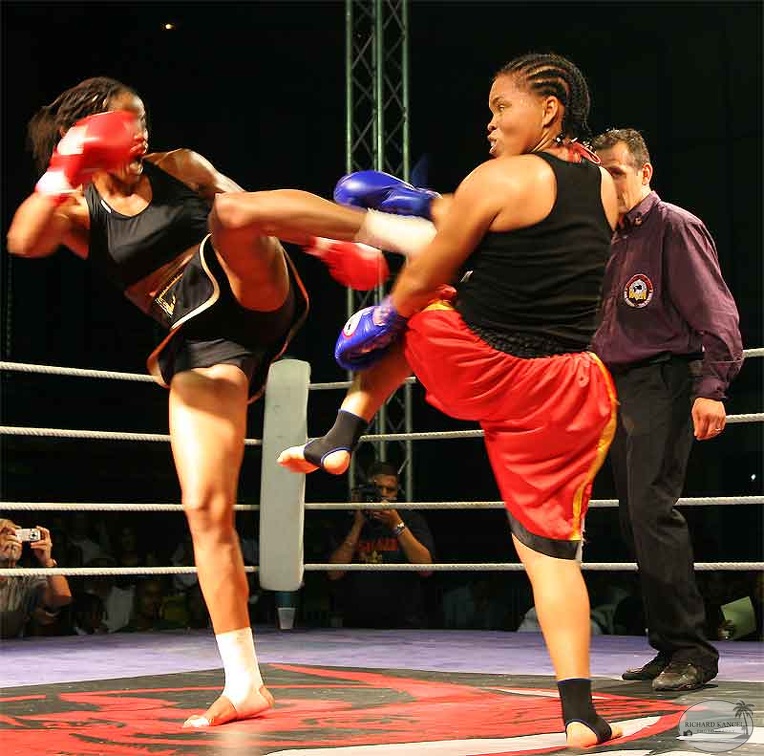 mouvement-kick11.jpg