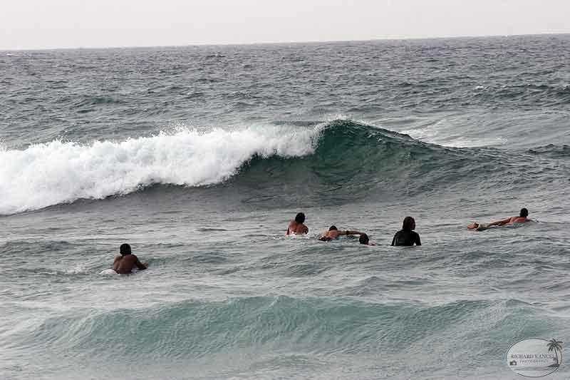 surfeur1.jpg
