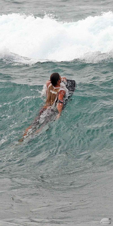 surfeur33.jpg