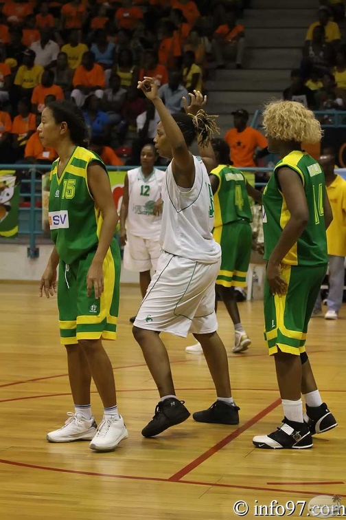 basket2010-feminine2.jpg