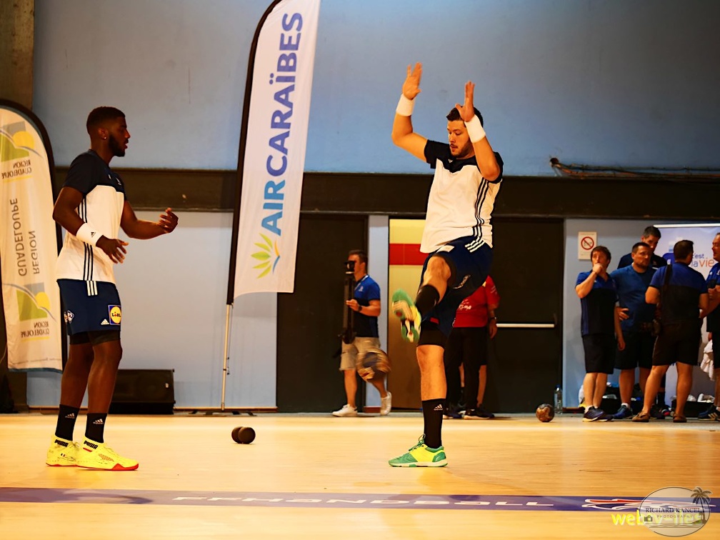 handball-france-danemark001.jpg