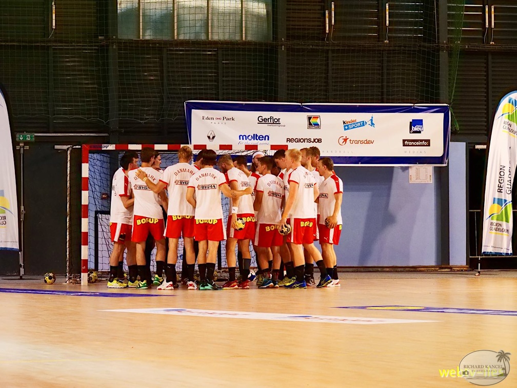 handball-france-danemark004.jpg