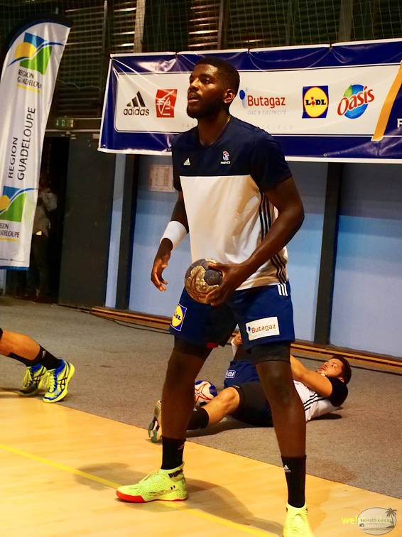 handball-france-danemark010.jpg