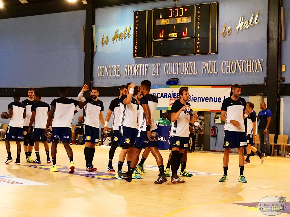 handball-france-danemark021.jpg