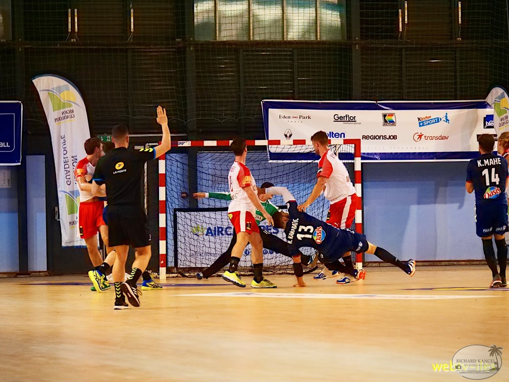 handball-france-danemark033.jpg