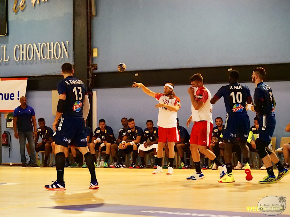 handball-france-danemark035.jpg