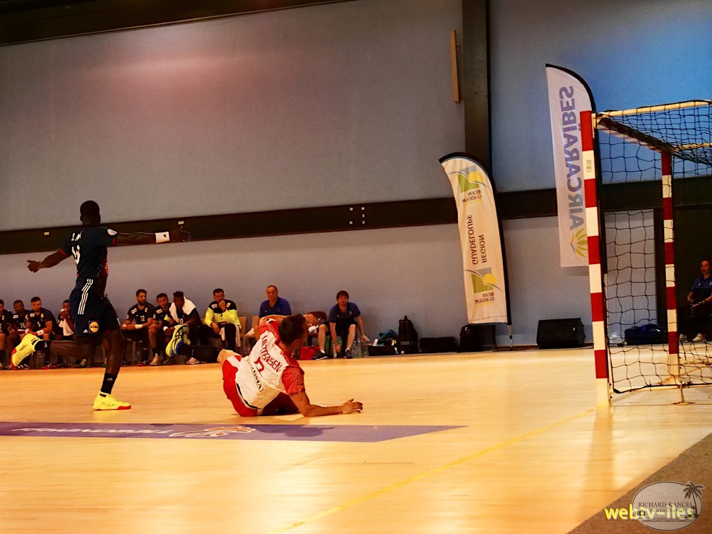 handball-france-danemark036.jpg