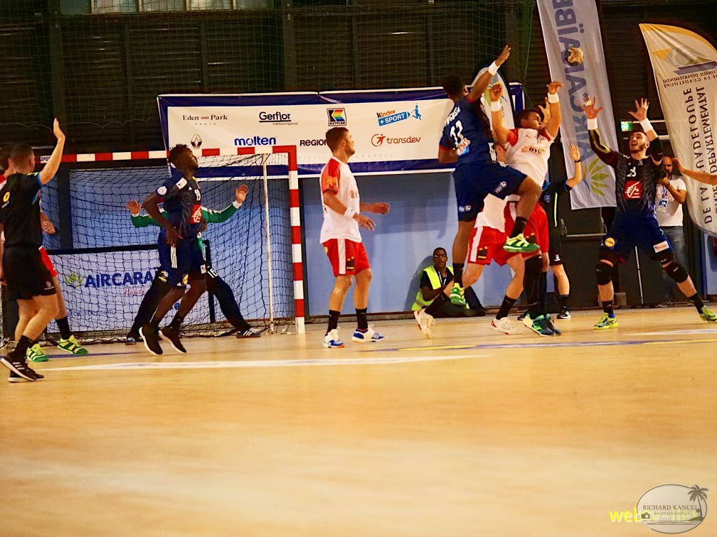 handball-france-danemark038.jpg