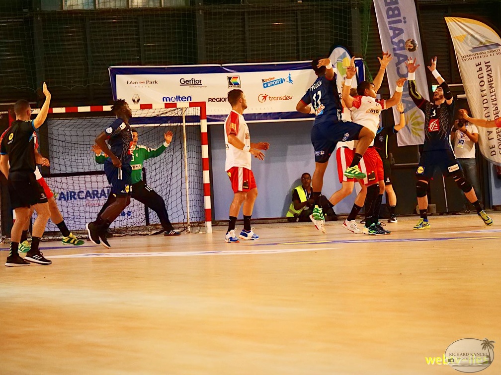 handball-france-danemark039.jpg