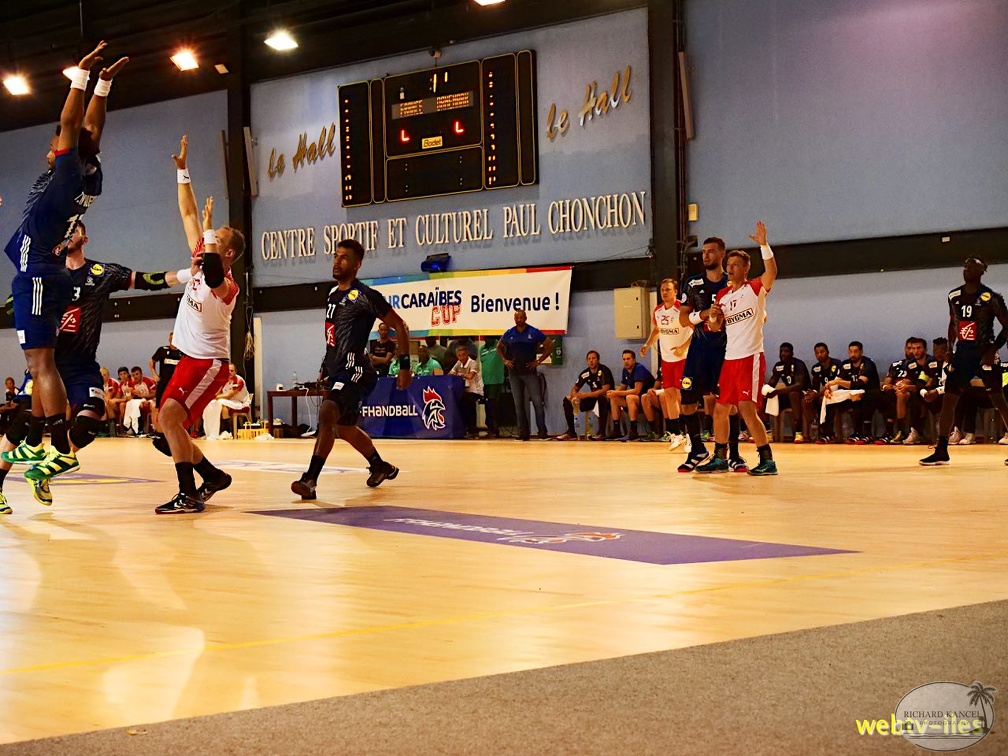 handball-france-danemark044.jpg