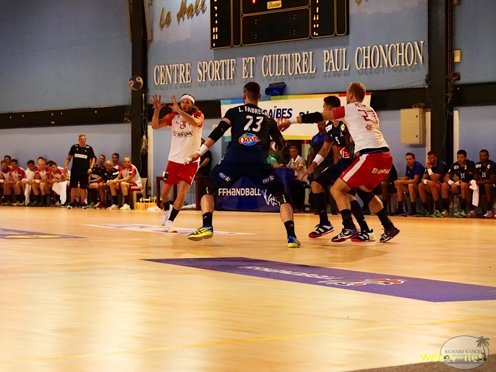 handball-france-danemark046.jpg