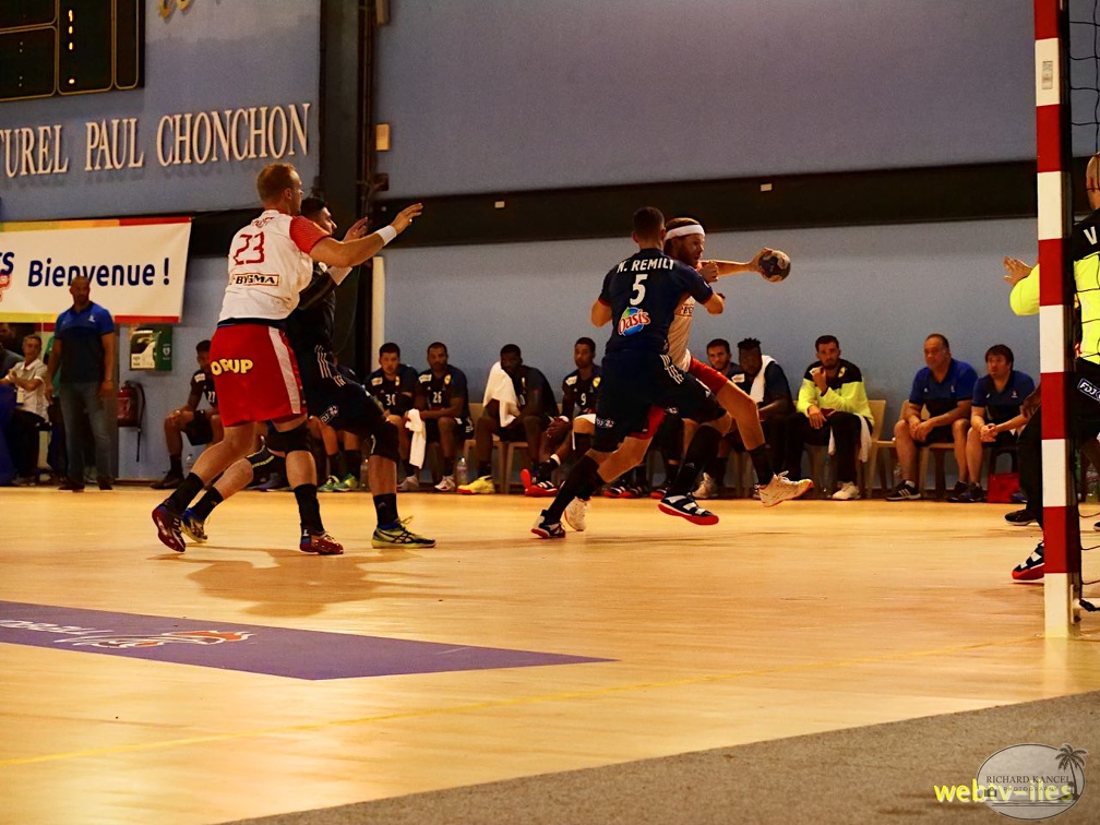 handball-france-danemark047.jpg