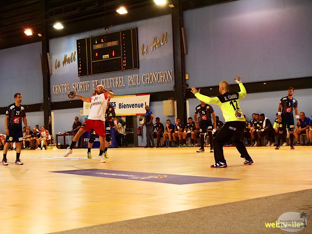 handball-france-danemark049.jpg