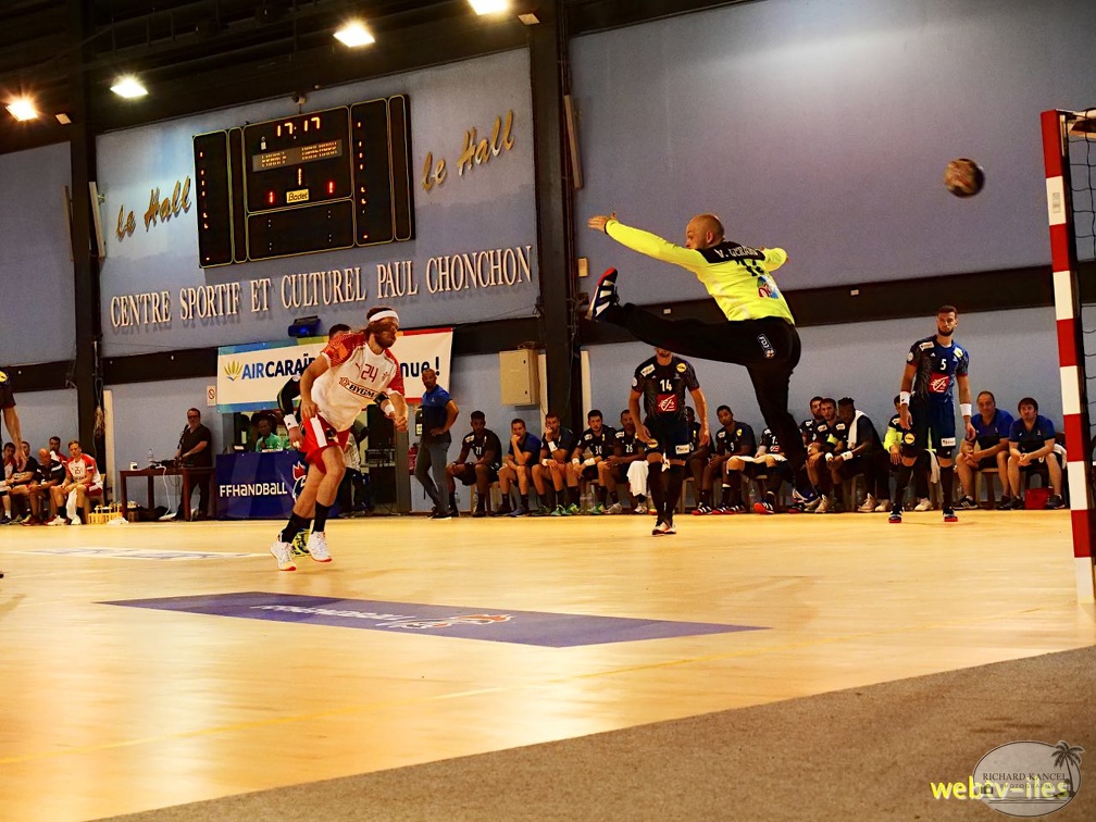 handball-france-danemark051.jpg