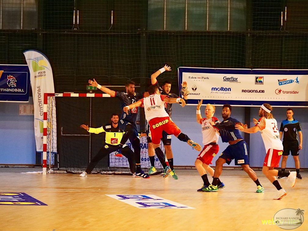 handball-france-danemark067.jpg
