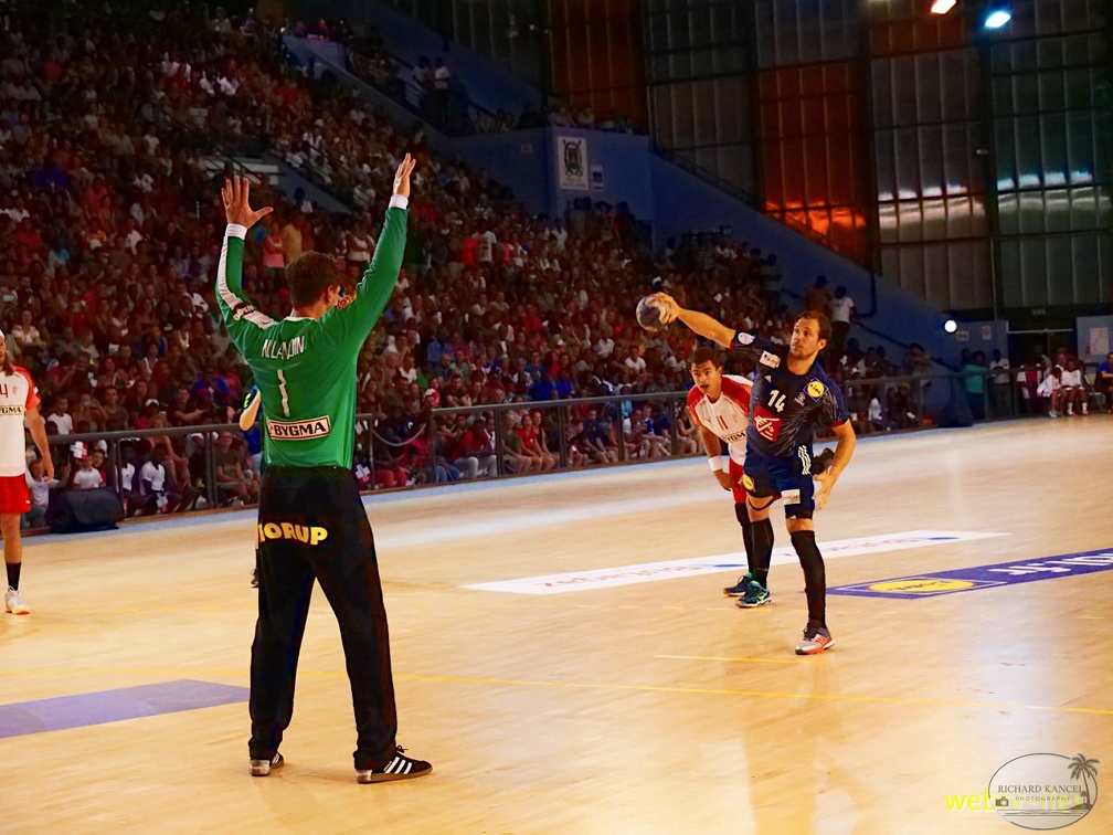 handball-france-danemark072.jpg