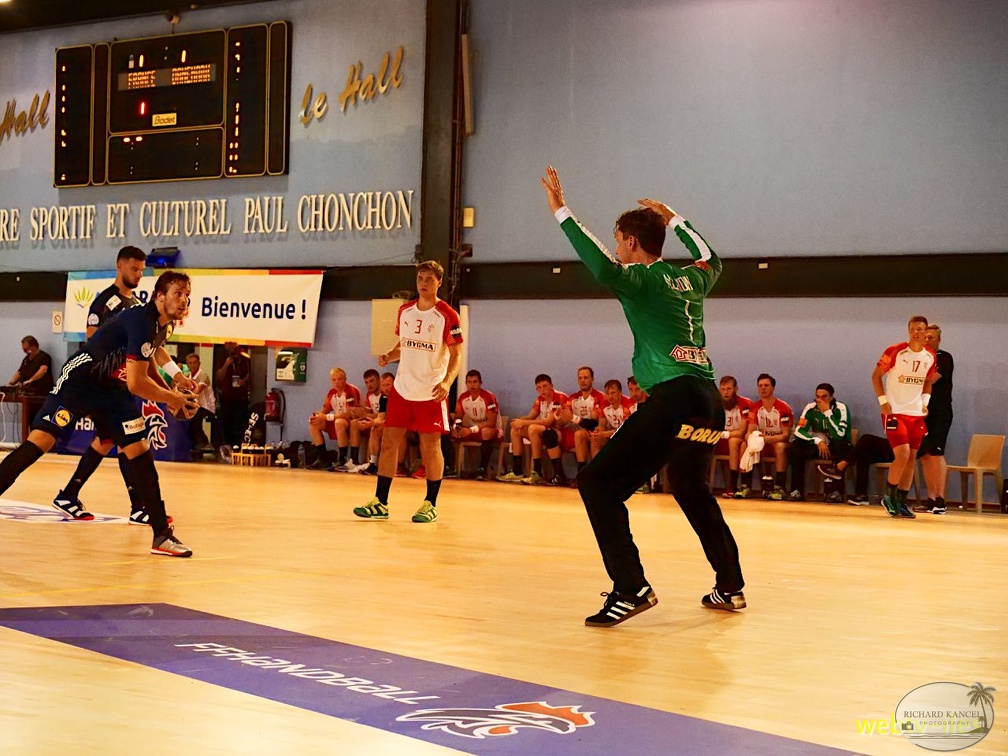 handball-france-danemark083.jpg