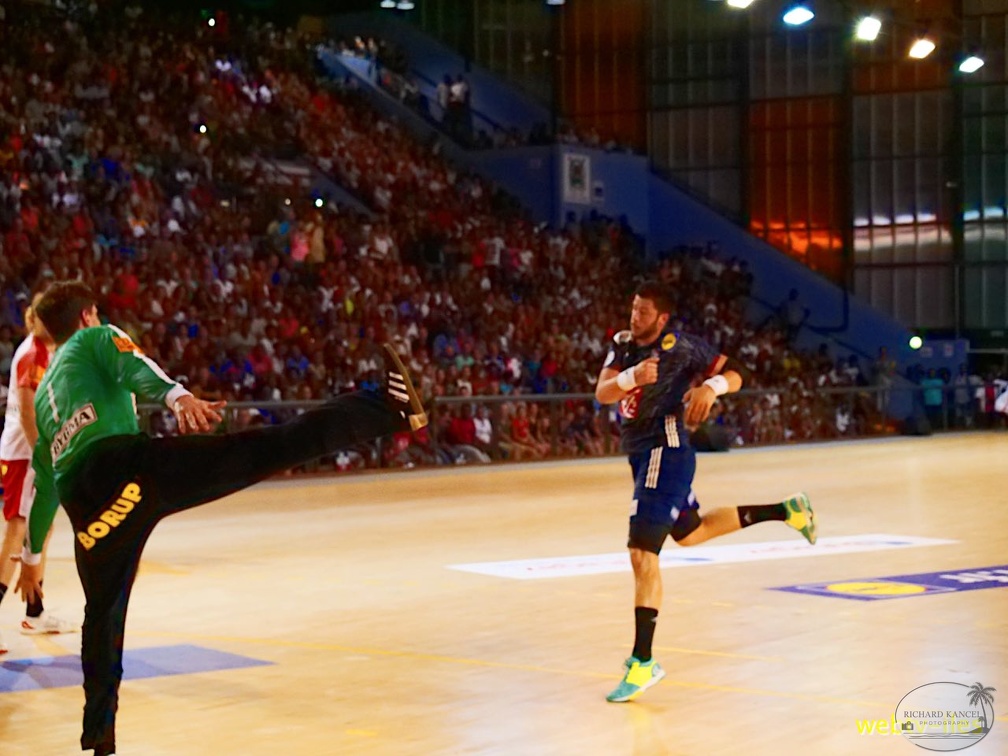 handball-france-danemark093.jpg