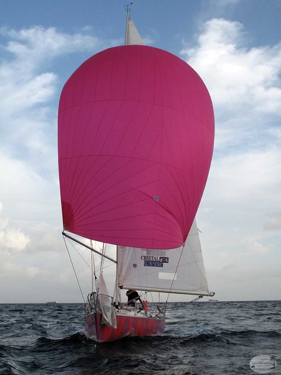 oxygene33.jpg