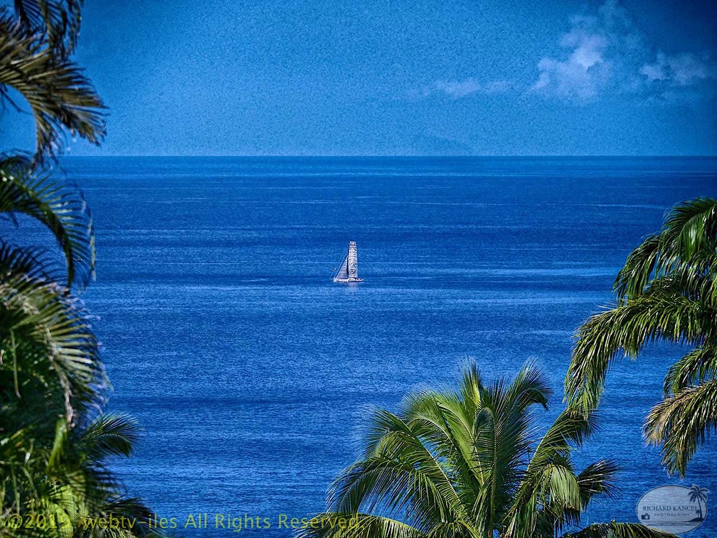 marina-route-du-rhum2018094.jpg