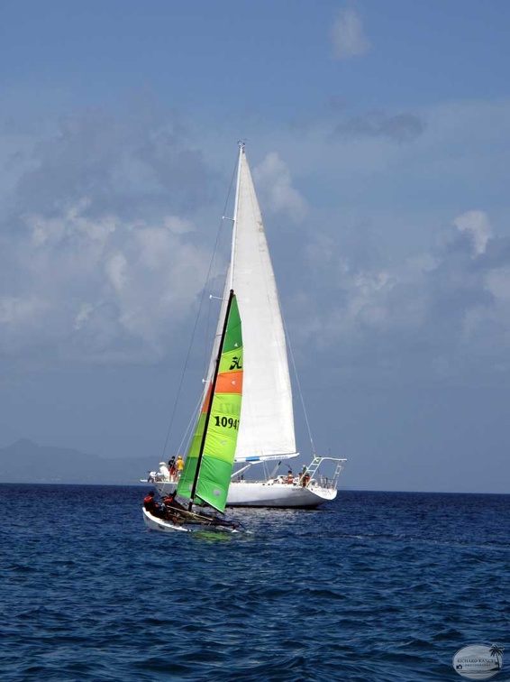 tour-voile-guadeloupe18.jpg