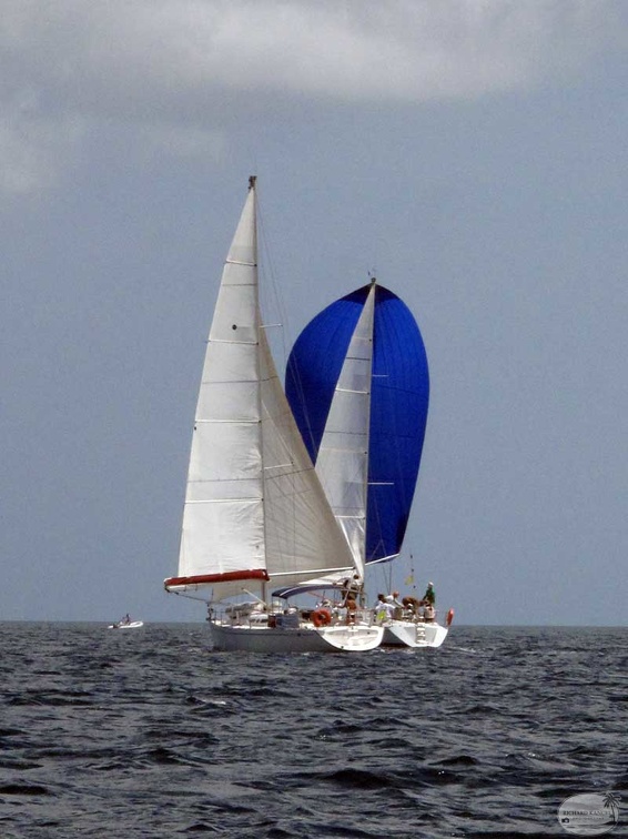 tour-voile-guadeloupe24.jpg