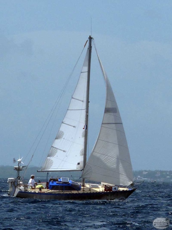 tour-voile-guadeloupe35.jpg