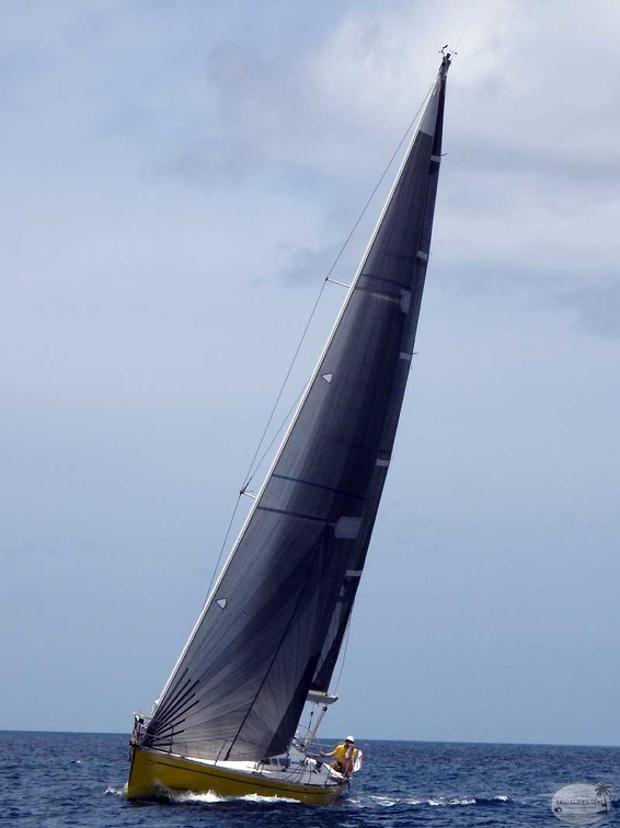 tour-voile-guadeloupe50.jpg