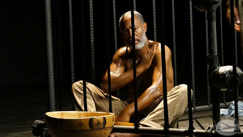 la-cage-6.jpg