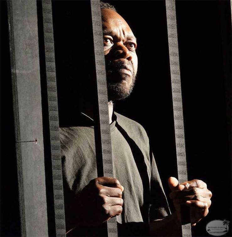 la-cage-7.jpg