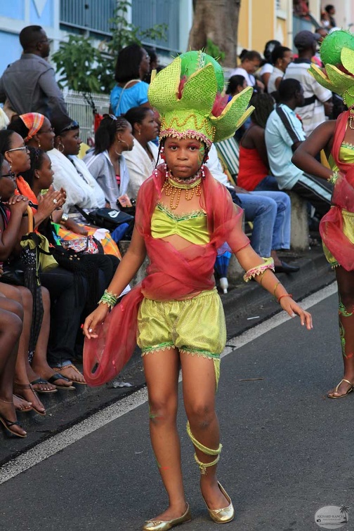 carnaval-basse-terre2013-12.jpg