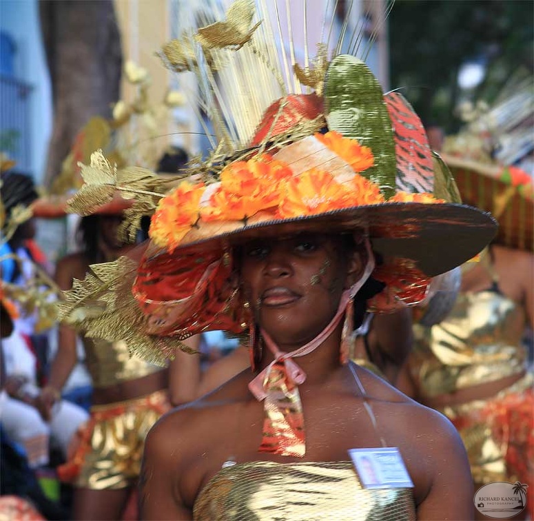 carnaval-basse-terre2013-3.jpg