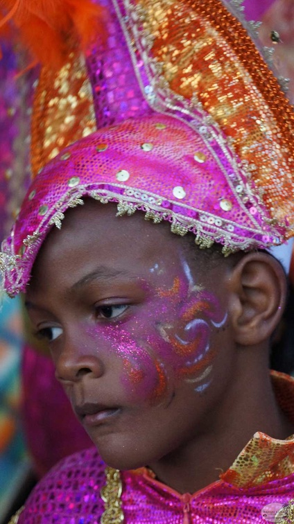 bt-carnaval2913-3-35.jpg