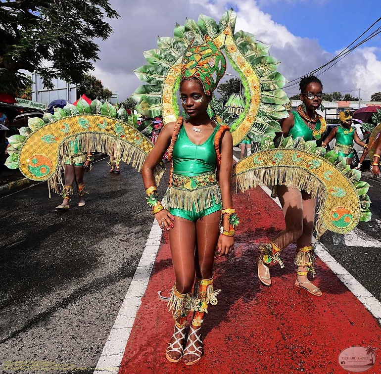 carnaval-basse-terre-2019086.jpg