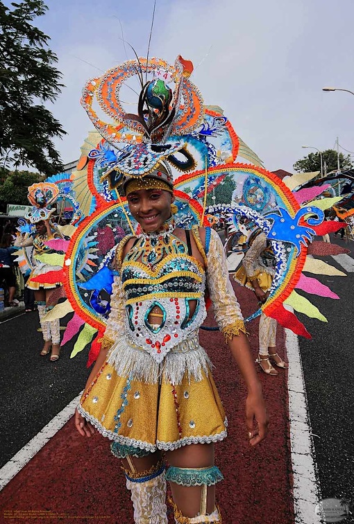 carnaval-basse-terre-2019101.jpg