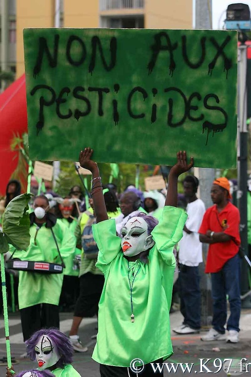 carnaval2008-papc5.jpg