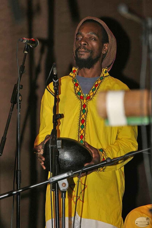 wouve-lawonn24.jpg