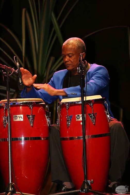festival2007-creole3.jpg