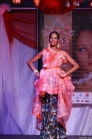 IMG 2645partie1-miss-guadeloupe-prestige2014