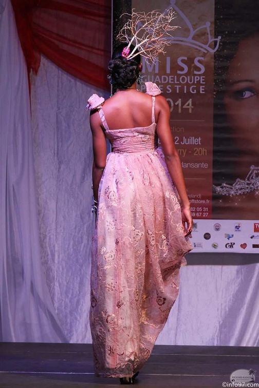 IMG_2860partie1-miss-guadeloupe-prestige2014.jpg