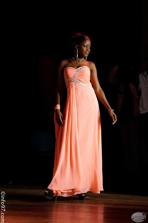 Miss-Diaspora-Haiti-103.jpg