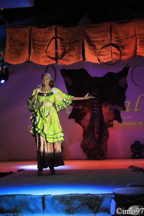miss-hibiscus2011-3.jpg