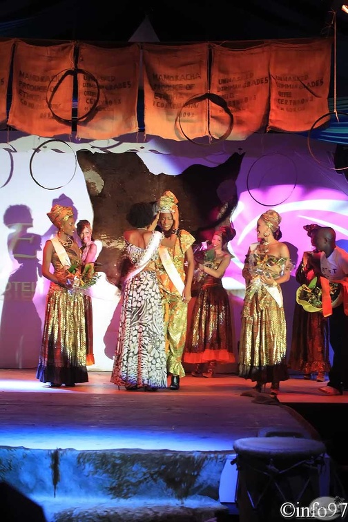 hibiscus2011-resultat6.jpg