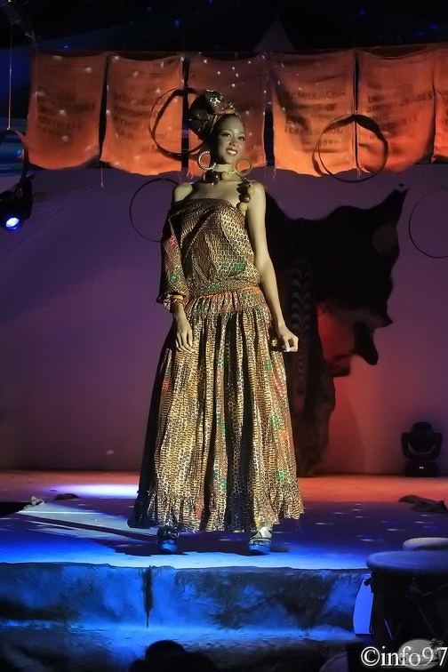 hibiscus2011-robe11.jpg