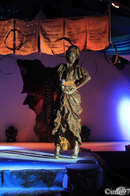 hibiscus2011-robe15.jpg