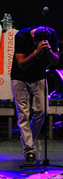 fouine-1.jpg