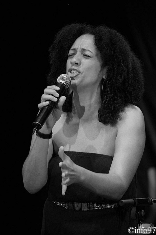 terre-de-blues2012-artiste5-11-la.jpg