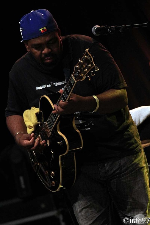 terre-de-blues-artiste4-12.jpg
